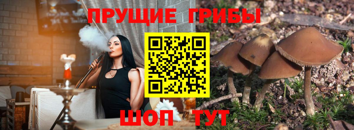 Красноуфимск  Псилоцибиновые грибы Magic Shrooms  Вход с VPN 
